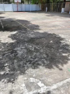 sportout-antes-05-225×300 sportout-antes-05-225x300